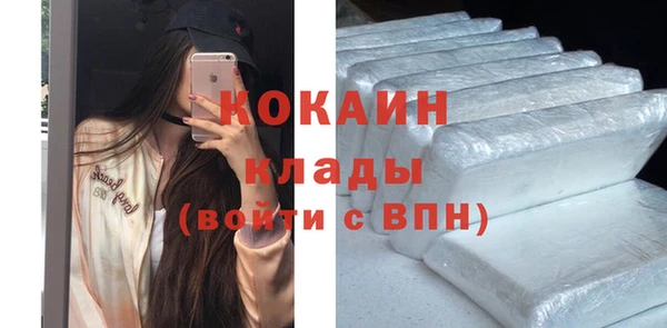 spice Богородск