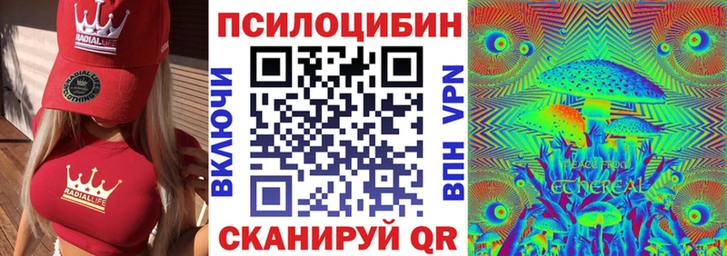 Псилоцибиновые грибы GOLDEN TEACHER  МЕГА вход  Бологое 